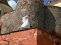 Ukrajina 428